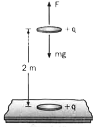 एक ताँबे के सिक्के  का द्रव्यमान 3 g  है और इसमें 3xx10^(22) के परमाणु  हैं।  मान लें कि दो सिक्कों  के इलेक्ट्रॉन का कुछ  अंश  नकाल लिया जाता है जिससे  प्रत्येक  पर एक नेट  धनात्मक  आवेश  +q रह जाता है।  जब  एक  सिक्के  को मेज  पर रखा  जाता है , तो  दूसरा  इसके  भार (mg) के विरुद्ध  लग  रहे  वैधुत  बल  F  द्वारा  पहले  से 2m ऊपर  लटक  जाता है  जैसा  कि चित्र I.40 में दिखाया  गया है।  कूलॉम  नियम  के अनुसार  दो आवेशित  बिंदुओं  के बीच  बल F=9xx10^(9)(q(1)q(2))/(r^(2))N, जब q(1) और q(2) कूलॉम में मापे  जाते हैं और r, मीटर में।  आवेश  क्वान्टित है अर्थात q=ne जहाँ e=1.6xx10^(-19)C है।        आवेश  q  का मान है