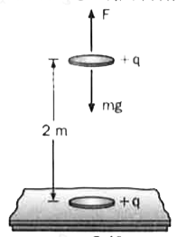 एक ताँबे के सिक्के  का द्रव्यमान 3 g  है और इसमें 3xx10^(22) के परमाणु  हैं।  मान लें कि दो सिक्कों  के इलेक्ट्रॉन का कुछ  अंश  नकाल लिया जाता है जिससे  प्रत्येक  पर एक नेट  धनात्मक  आवेश  +q रह जाता है।  जब  एक  सिक्के  को मेज  पर रखा  जाता है , तो  दूसरा  इसके  भार (mg) के विरुद्ध  लग  रहे  वैधुत  बल  F  द्वारा  पहले  से 2m ऊपर  लटक  जाता है  जैसा  कि चित्र I.40 में दिखाया  गया है।  कूलॉम  नियम  के अनुसार  दो आवेशित  बिंदुओं  के बीच  बल F=9xx10^(9)(q(1)q(2))/(r^(2))N, जब q(1) और q(2) कूलॉम में मापे  जाते हैं और r, मीटर में।  आवेश  क्वान्टित है अर्थात q=ne जहाँ e=1.6xx10^(-19)C है।        ताँबे  के परमाणुओं  का वह अंश  जिसमें  इलेक्ट्रॉन  नहीं है