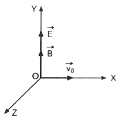एकसमान वैद्युत और चुम्बकीय क्षेत्र, E और B, चित्र III. 29 में दिखाए अनुसार Y- अक्ष की दिशा में हैं। विशिष्ट आवेश qlm वाला एक कण, मूल बिन्दु 0 से आरम्भिक अनापेक्षिकीय वेग (non-relativistic velocity) v(0) के साथ X- अक्ष की दिशा में चलता है। धनात्मक Y- दिशा में वैद्युत क्षेत्र के कारण कण त्वरित होता है और अपने वेग की दिशा के लम्बवत चुम्बकीय क्षेत्र के कारण यह परिसंचरण करता है।   उपरोक्त की सहायता से निम्न प्रश्नों के सबसे उचित उत्तर चुनें।   कण का वेग, जब यह Y-अक्ष से n वीं बार गुज़रता है, है ै