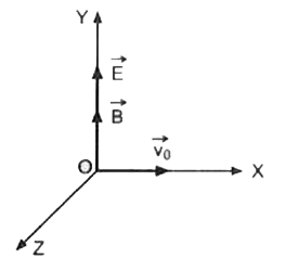 एकसमान वैद्युत और चुम्बकीय क्षेत्र, E और B, चित्र III. 29 में दिखाए अनुसार Y- अक्ष की दिशा में हैं। विशिष्ट आवेश qlm वाला एक कण, मूल बिन्दु 0 से आरम्भिक अनापेक्षिकीय वेग (non-relativistic velocity) v(0) के साथ X- अक्ष की दिशा में चलता है। धनात्मक Y- दिशा में वैद्युत क्षेत्र के कारण कण त्वरित होता है और अपने वेग की दिशा के लम्बवत चुम्बकीय क्षेत्र के कारण यह परिसंचरण करता है।   उपरोक्त की सहायता से निम्न प्रश्नों के सबसे उचित उत्तर चुनें।   कण के वेग के वेक्टर और Y-अक्ष के बीच कोण, जब यह Y अक्ष से n वीं बार गुज़रता है, हैै