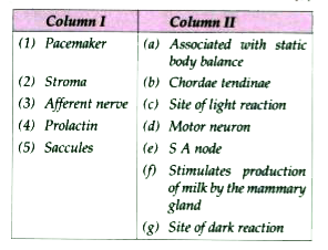 Match the items in Column I with that which is most appropriate in Column II.