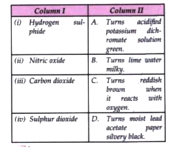 Match the gases given in column I to the identification of the gases mentioned in column II :