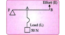 The diagram below shows a lever in use.      If FA = 40 cm, AB = 60 cm, then find the mechanical advantage of the lever.