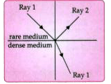 A ray of light moves from a rare medium to a dense medium as shown in the diagram below. Write down the number of the ray which represents the partially reflected ray.