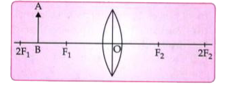An object AB is placed between 2F(1)andF(1) on the principal axis of a convex lens as shown in the diagram :      Copy the diagram and using three rays starting from point A, obtain the image of the object formed by the lens.