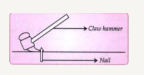 The diagram below shows a claw hammer used to remove a nail :      (i) To which class of lever does it belong?   (ii) Give one more example of the same class of lever mentioned by you in (i) for which the mechanical advantage is greater than one.
