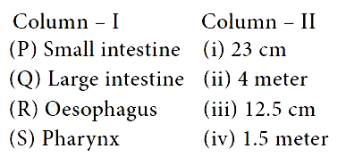 Match column I with column II and choose the correct option