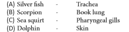 Given below are four matchings of a animal and its kind of respiratory organ       The correct matchings are