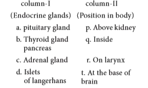Match the endocrine gland, given under column-I with their respective position in  the body given under column-II choose the answer which gives the correct combination of alphabets of two columns: