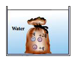 The total electric flux for the following closed surface which is kept inside water