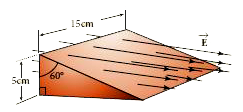 A closed triangular box is kept in an electric field of magnitude E = 2 xx 10^(3)