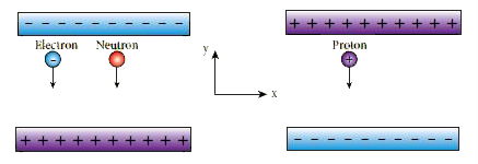 An electron and a proton are allowed to fall through the separation between the plates of a parallel plate capacitor of voltage 5 V and separation distance h = 1 mm as shown in the figure.      Among the three, which one will reach the bottom first?   (Take m(p) = 1.6 xx 10^(-27)