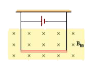 A conductor of linear mass density 0.2 g m^(-1) suspended by two flexible wire as shown in figure. Suppose the tension in the supporting wires is zero when it is kept inside the magnetic field of 1 T whose direction is into the page. Compute the current inside the conductor and also the direction of the current. Assume g = 10 m s^(-2)