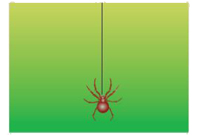 A spider of mass 50 g is hanging on a string of a cob web as shown in the figure. What is the tension in the string?
