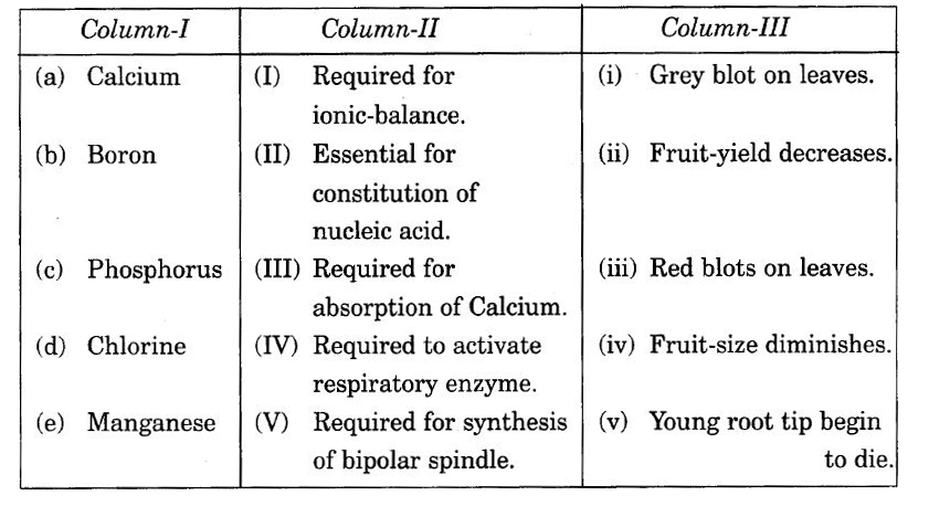 Which of the following option shows correct corelation between Column- I, II and III.