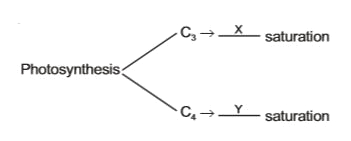 CO(2) concentration factor affecting photosynthesis process, which statement is correct for C(3) and C(4) plant?