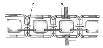 What indicate X, Y in the given diagram?