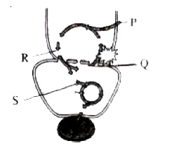 At which site CO(2) enters in the given diagram labelled with P,Q, R, S? Choose the correct option.