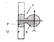 Identify the part which is made up of peripheral membrane protein complex in the given figure?