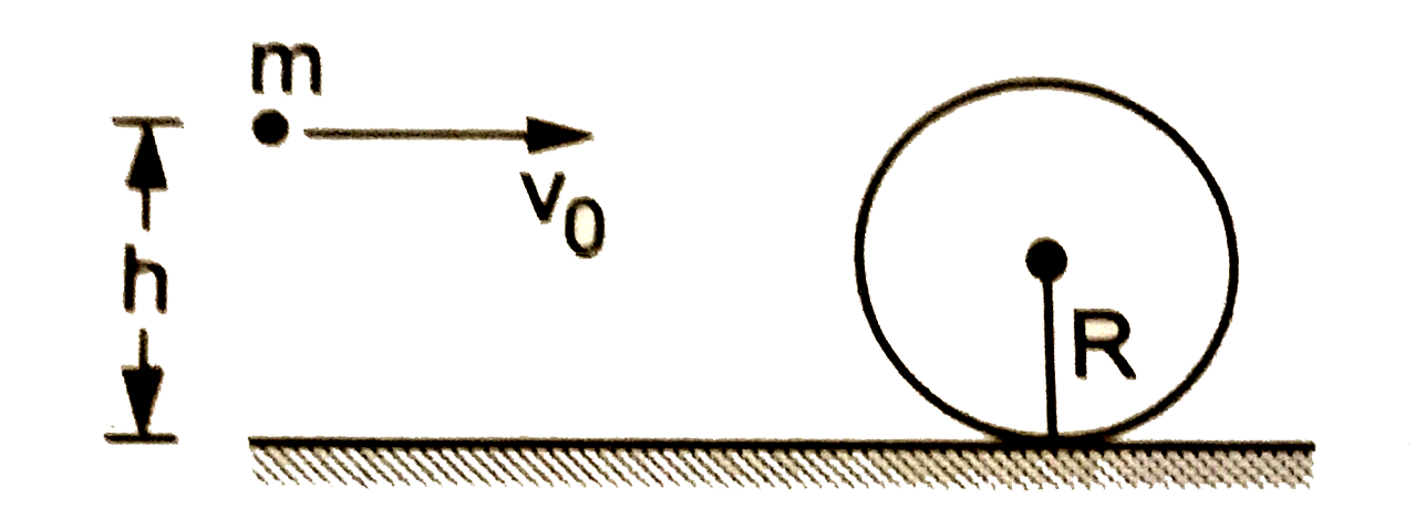 R त्रिज्या तथा M द्रव्यमान का एक समरूप ठोस गोला एक क्षैतिज तल पर रखा है (चित्र 19.W8) । m द्रव्यमान का एक कण सतह से h ऊंचाई पर v(0) वेग से क्षैतिज दिशा में चलता हुआ गोले से टकराता है। टक्कर के बाद कण गोले में चिपक जाता है। Mgtgtm माने ताकि चिपकने के बाद गोले तथा कण का संयुक्त द्रव्यमान केंद्र गोले का केंद्र ही मान जा सके। टक्कर के तुरंत बाद (a) निकाय की रेखीय चाल, (b) गोले के केंद्र के सापेक्ष निकाय की कोणीय चाल तथा (c) h का मान, जिसके लिए गोला बिना फिसले सतह पर बढ़ सके, निकालें।