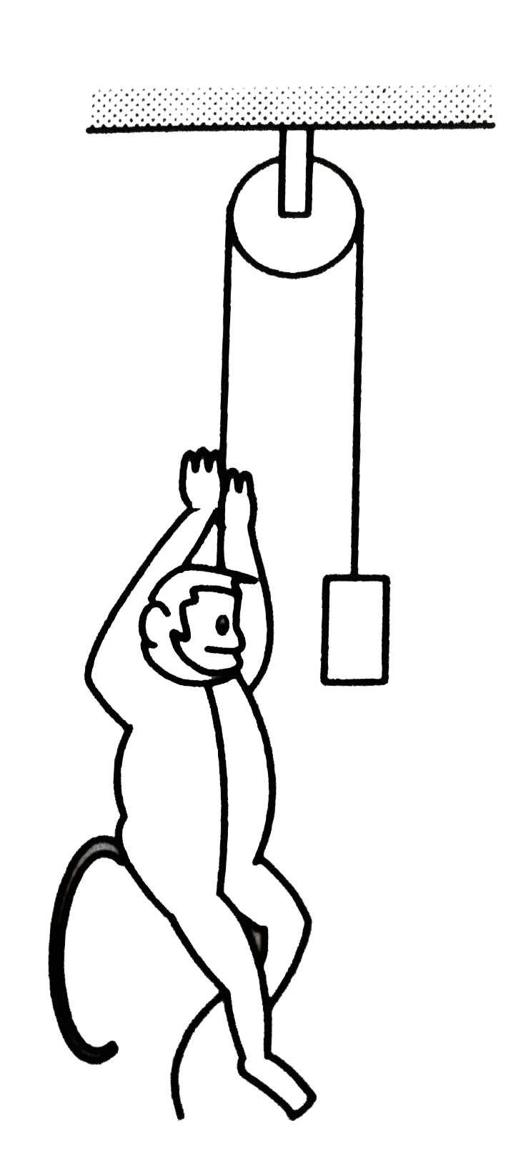 A Monkey is Climbing on a Rope that Goes Over a Smooth Light Pulley and Supports a Block of Equal Mass at the Other End in the Following