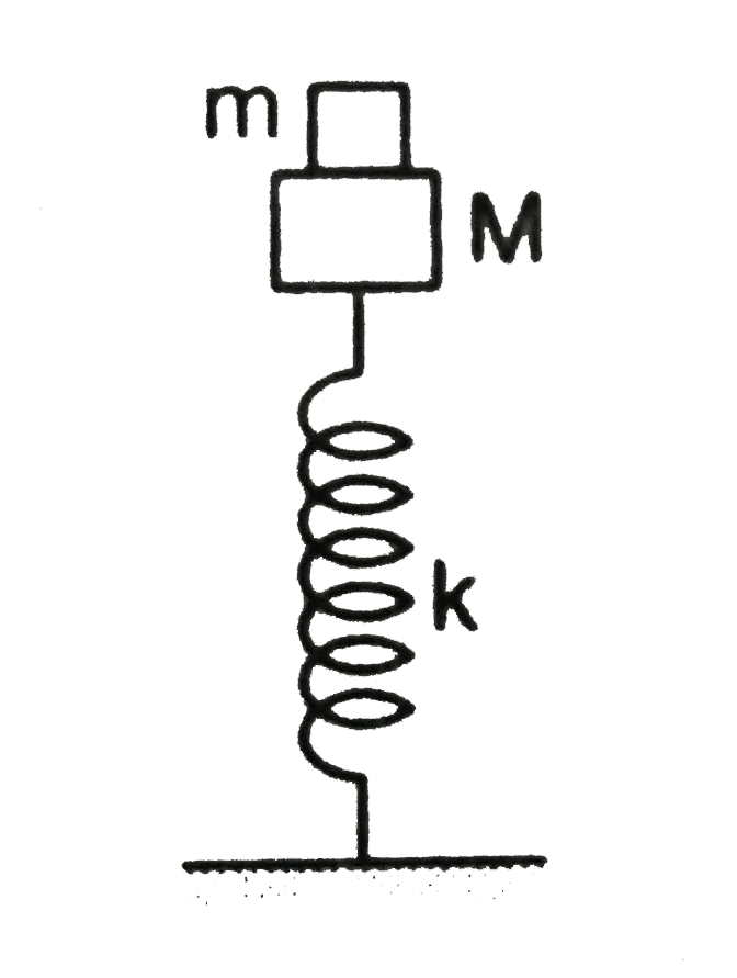 A small block of mass m is kept on a bigger block of mass M which is attached to a vertical spring of spring constant k as shown in the figure. The system oscilates verticaly. a.Find the resultant force on the smaller block when it is displaced through a distance x above its equilibrium position. b. find the normal force on the smaller blok at this position. When is this force smallest smaller block at this position. When is this force smallest in magnitude? c. What can be the maximum amplitude with which the two blocks may oscillate together?