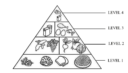 दिए गए भोजन पिरामिड का निरीक्षण करें। स्तर 3 के खाद्य पदार्थों में  प्रचुर मात्रा में होता हैं |