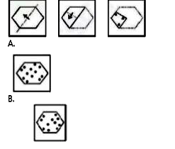 A piece of paper is folded and punched as shown below in the question figures. From the options given below, identify how it will appear when opened.