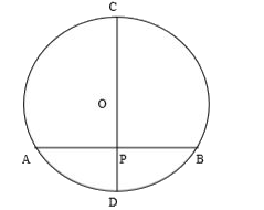 In the figure given below, CD is the diameter of the circle which meets the chord AB at P such that AP = BP = 12 cm. If DP = 8 cm, find the radius of the circle.