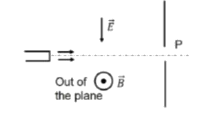 A collimated beam of charged and uncharged particles is directed towards a hole marked P on a screen as shown below. If the electric and magnetic fields as indicated below are turned on.