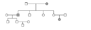 The following family tree traces the occurrence of a rate genetic disease. The filled symbols signify the individuals with the disease, whereas the open symbols signify healthy individuals.      Based on this information, the disease is most likely to be