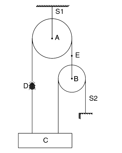 The system shown in the fig. is in equilibrium. Pulleys A and B have mass M each and the block C has mass 2M. The strings are light. There is an insect (D) of mass M/2 sitting at the middle or the right string. Insect does not move.       (a) Just by inspection, say if the tension in the string S1 is equal to, more than or less than 9/2 Mg.    (b) Find tension in the string S2, and S1.     (c) Find tension in S2 if the insect flies and sits at point E on the string.