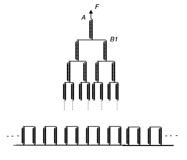 The fig. shows an infinite tower of identical springs each having force constant k. The connecting bars and all springs are massless. All springs are relaxed and the bottom row of springs is fixed to horizontal ground. The free end of the top spring is pulled up with a constant force F. In equilibrium, find    (a) The displacement of free end A of the top spring from relaxed position.     (b) The displacement of the top bar B1 from the initial relaxed position.