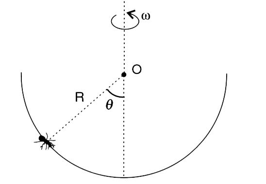 A small insect is climbing slowly along the inner wall of a hemispherical bowl of radius R. The insect is unable to climb beyond theta  =  45^(@). Whenever it tries to climb beyond theta  =  45^(@), it slips.    (a) Find the minimum angular speed omega with which the bowl shall be rotated about its vertical radius so that the insect can climb upto theta = 60^(@).     (b) Find minimum omega for which the insect can move out of the bowl.