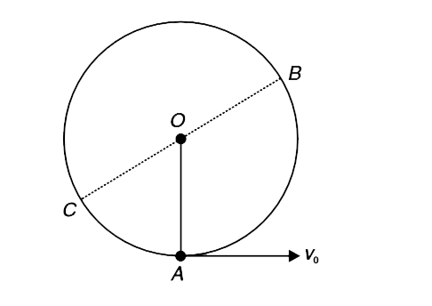 A heavy particle is attached to one end of a light string of length l whose other end is fixed at O. The oarticle is projectyed horizontally with a velocity v0 from its lowest position A. When the angular displacement of the string is more than90^(@), the particle leaves the circular path at B. The string again becomes taut at C such that B,O,C are collinear. Find v0 in terms of l and g