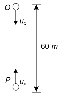 Two particles P and Q have mass 1 kg and 2 kg respectively. They are projected along a vertical line with velocity u(p) = 20 m/s and u(Q) = 5 m/s  when separation between them was 60 m. P was projected vertically up while Q was projected vertically down. Calculate the maximum height attained by the centre of mass of the system of two particles, measured from the initial position of P. Assume that the particles do not collide and that the ground is far below their point of projection [g = 10 m//s^(2)]