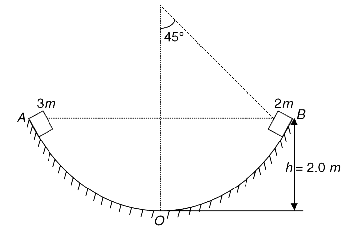 A smooth track, fixed to the ground, is in the shape of a quarter of a circle. Two small blocks of mass 3m and 2m are released from the two edges A and B of the circular track. The masses slide down and collide at centre O of the track. Vertical height of A and B from O is h = 2m. Collision is elastic. Find the maximum height (above O) attained by the block of mass 2m  after collision