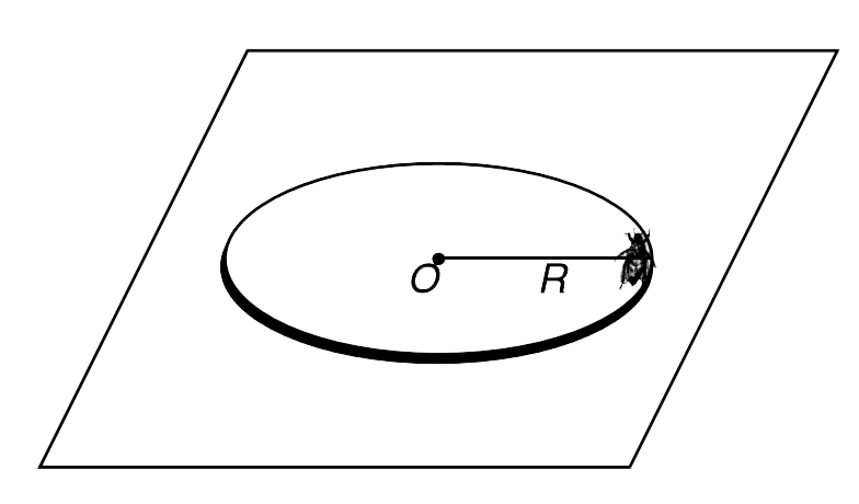 A disc of mass M and radius R is kept flat on a smooth horizontal table. An insect of mass m alights on the periphery of the disc and begins to crawl along the edge.   (a) Describe the path of the centre of the disc.   For what value of (m)/(M) the centre of the disc and the insect will follow the same path ?