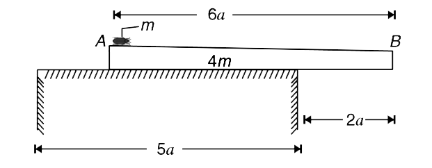 A uniform bar AB of length 6a has been placed on a horizontal smooth table of width 5 a as shown in the figure. Length 2a of the bar is overhanging.  Mass  of the bar is 4m. An insect of mass m is sitting at the end A of the bar. The insect walks along the length of the bar to reach its other end B.      (a) Will the bar topple when the insect reaches end B of the bar ?   (b) After the insect reaches at B, another insect of mass M lands on the end A of the bar. Find the largest value of M which will not topple the bar.