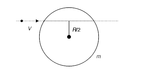 A disc of mass m and radius R lies flat on a smooth horizontal table. A  particle of mass m, moving horizontally along the table,  strikes the disc with velocity V while moving along a line at a distance  (R)/(2) from the centre. Find the angular velocity   acquired by the disc if the particle comes to rest after the impact.