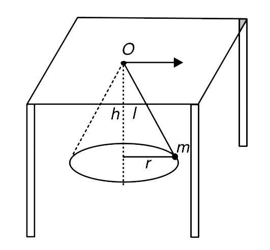 A mass m in attached to a mass less string and swings in a horizontal circle, forming a conical pendulum, as shown in the figure. The other end of the string passes through a hole in the table and is dragged slowly so as to reduce the length l. The string  is slowly drawn up so that the depth h shown in the figure becomes half. By what factor does the radius (r) of the circular path of the mass m change?