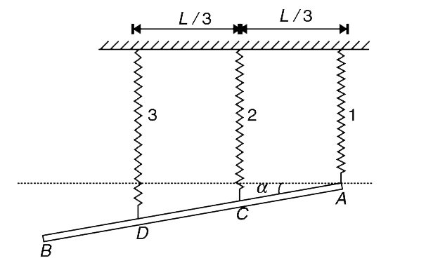 A uniform rod AB has mass M and length L. It is in equilibrium supported in vertical plane by three identical springs as shown in figure. The springs are connected at A, C and D such that  AC = CD = (L)/(3).  Assume that the springs are  very stiff and the angle a made by the rod with the horizontal in equilibrium position is very small. (All springs are nearly vertical). Calculate the tension in the three springs.
