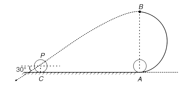 A disc of radius r = 0.1 m is rolled from a point A on a track as shown in the figure. The part AB of the track is a semi-circle of radius R in a vertical plane. The disc rolls without sliding and leaves contact with the track at its highest point B. Flying through the air it strikes the ground at point C. The velocity of the center of mass of the disc makes an angle of 30^(@) below the horizontal at the time of striking the ground. At the same instant, velocity of the topmost point P of the disc is found to be 6 m//s (Take g = 10 m//s^(2) ).      (a) Find the  value of R.    (b) Find the velocity of the center of mass of the disc when it strikes the ground.    (c) Find distance AC.