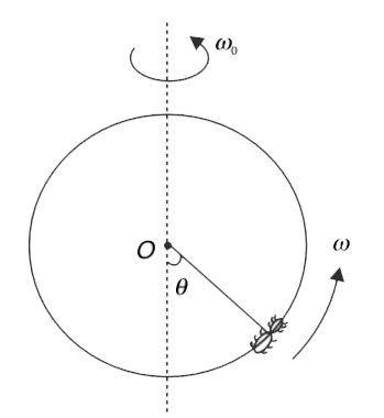 A ring is made to rotate about its diameter at a constant angular speed of omega(0) . A small insect of mass m walks along the ring with a uniform angular speed omega  relative to the ring (see figure). Radius of the ring is R.    (a) Find the external torque needed to keep the ring rotating at constant speed as the insect walks. Express your answer as a function of theta. For  what value of q is this torque maximum?   [given your answer for 0 le theta le 90^(@) ]   (b) Find the component of force perpendicular to the plane of the ring, that is applied by the ring on the insect. For what value of theta  is this force maximum? Argue quantitatively to show that indeed the force should be maximum for this value of theta. [Give your answer for 0^(@) le theta le 90^(@) ]