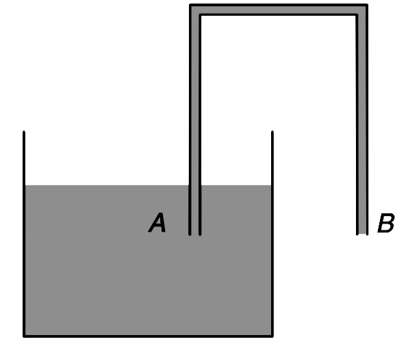 In the siphon shown in the figure the ends A and B of the tube are at same horizontal level. Water fills the entire tube but it does not flow out of the end B. With the help of a diagram show how the water surface at end B changes if the end B were slightly lower than the position shown.