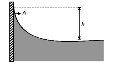 A liquid having surface tension T and density rho  is in contact with a vertical solid wall. The liquid surface gets curved as shown in the figure. At the bottom the liquid surface is flat.  The atmospheric pressure is P(o).      (i) Find the pressure in the liquid at the top of the meniscus  (i.e. at A)     (ii) Calculate the difference in height (h) between the bottom and top of the meniscus.