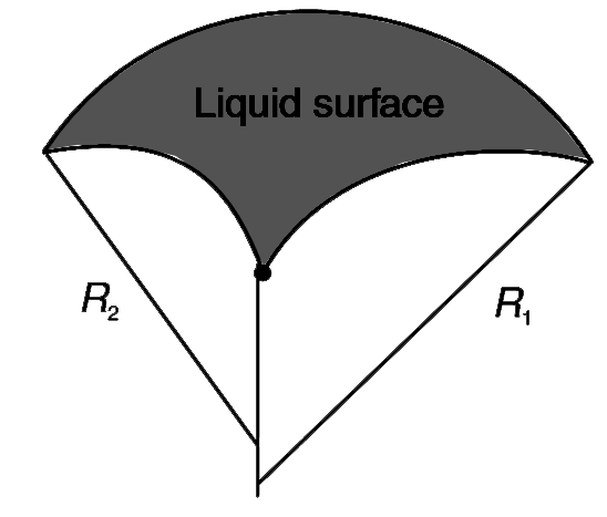 A curved liquid surface has radius of curvature R(1) and R(2) in two perpendicular directions as shown in figure. Surface tension of the liquid is T. Find the difference in pressure on the concave side and the convex side of the liquid surface.