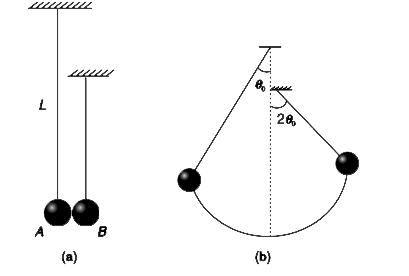 Two identical small elastic balls have been suspended using two strings of different length (see fig (a)). Pendulum A is pulled to left by a small angle theta(0) and released. It hits ball B head on which swings to angle 2 theta (0) from the vertical. Calculate the time period of oscillation of A if its length is known to be L.