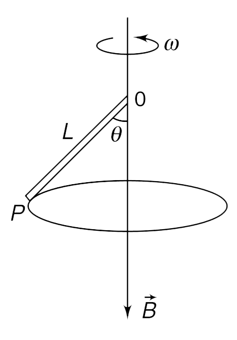 A conducting rod (OP) of length L rotates in form of a conical pendulum with an angular velocity omega about a fixed vertical axis passing through its end O. There is a uni- form magnetic field B in vertically downward direction. The rod makes an angle theta with the direction of the magnetic field. Calculate the emf induced across the ends of the rod. Which end is positive?