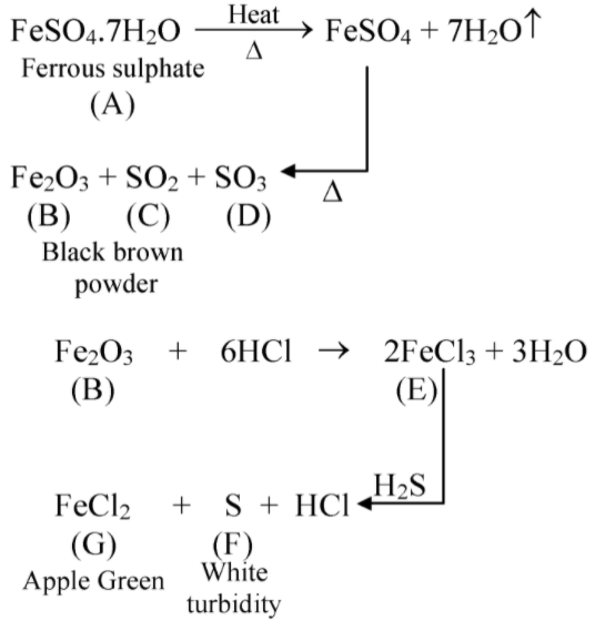 ocr_image